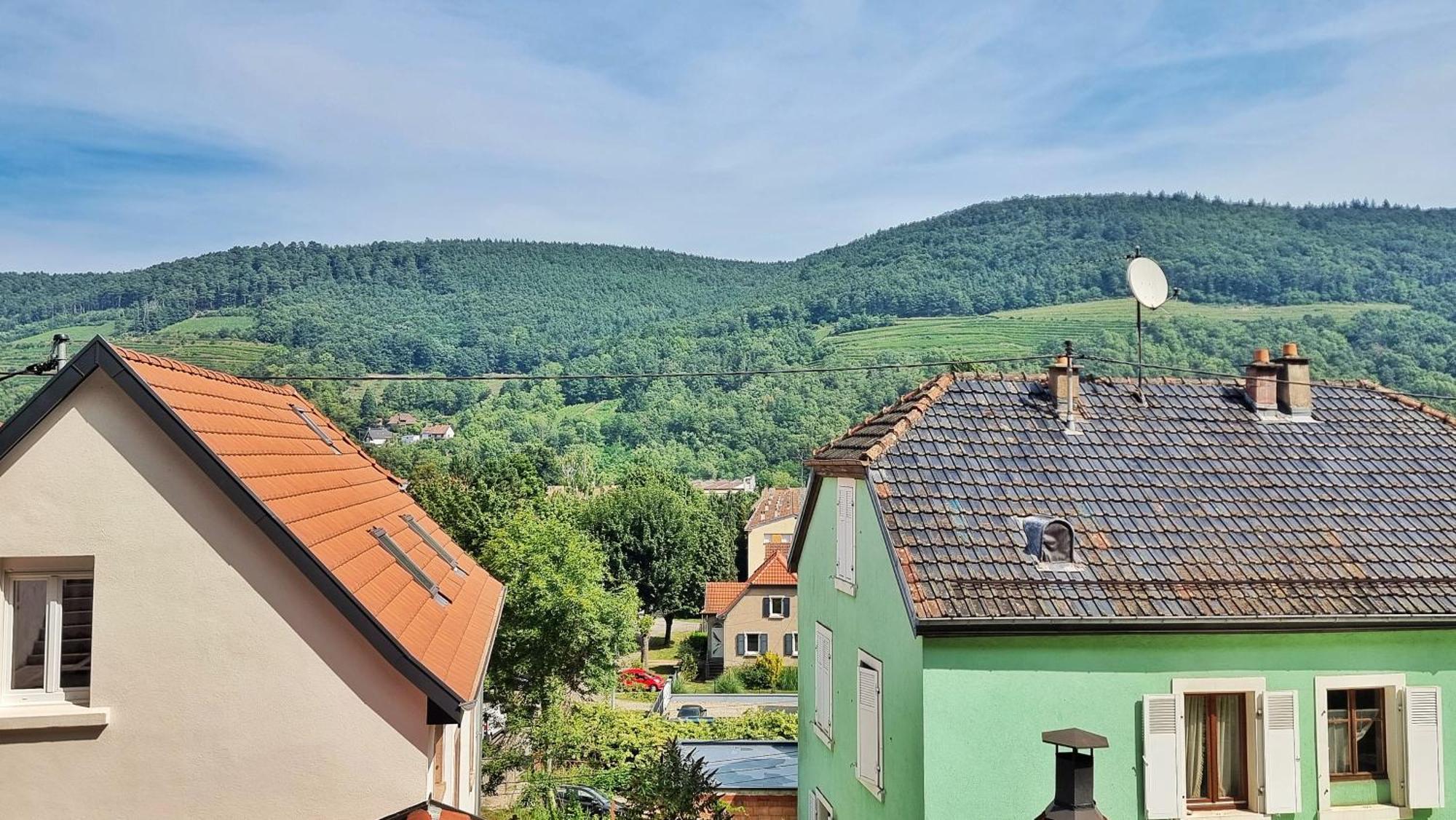 La Buhl Verte - Chic Et Moderne - Calme - Fibre - Relax Bnb Екстериор снимка